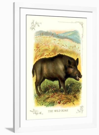 The Wild Boar-null-Framed Art Print