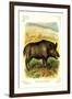 The Wild Boar-null-Framed Art Print