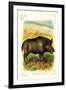 The Wild Boar-null-Framed Art Print