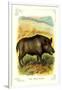 The Wild Boar-null-Framed Premium Giclee Print