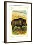 The Wild Boar-null-Framed Art Print