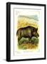 The Wild Boar-null-Framed Art Print