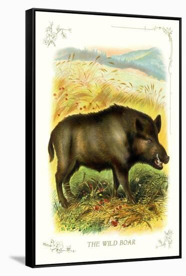 The Wild Boar-null-Framed Stretched Canvas