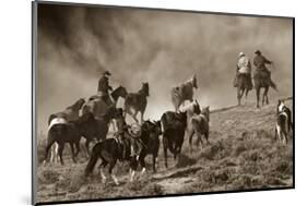 The Wild Bunch-Barry Hart-Mounted Giclee Print
