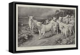 The Wild Cattle of Chillingham-Basil Bradley-Framed Stretched Canvas