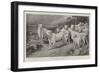 The Wild Cattle of Chillingham-Basil Bradley-Framed Giclee Print