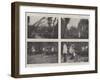 The Wild Fowl Season, Scenes on the Grange Decoy, Essex-null-Framed Giclee Print