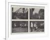 The Wild Fowl Season, Scenes on the Grange Decoy, Essex-null-Framed Giclee Print