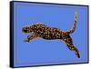 The Wild Leopard I-Melissa Wang-Framed Stretched Canvas