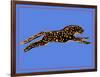 The Wild Leopard II-Melissa Wang-Framed Art Print