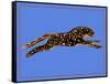 The Wild Leopard II-Melissa Wang-Framed Stretched Canvas