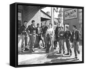 The Wild One-null-Framed Stretched Canvas