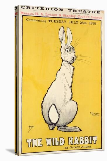 The Wild Rabbit Poster, 1899-J. Hissin-Stretched Canvas