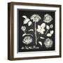 The Wild Roses - Hand Drawn Illustrations - Chalkboard-ONiONAstudio-Framed Art Print