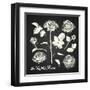 The Wild Roses - Hand Drawn Illustrations - Chalkboard-ONiONAstudio-Framed Art Print