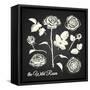 The Wild Roses - Hand Drawn Illustrations - Chalkboard-ONiONAstudio-Framed Stretched Canvas