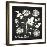 The Wild Roses - Hand Drawn Illustrations - Chalkboard-ONiONAstudio-Framed Art Print