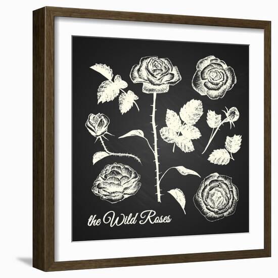 The Wild Roses - Hand Drawn Illustrations - Chalkboard-ONiONAstudio-Framed Art Print