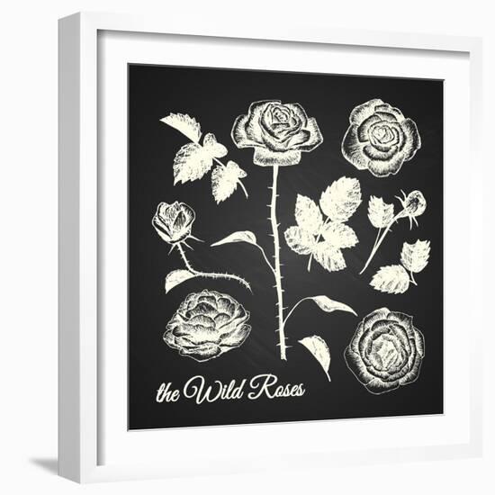 The Wild Roses - Hand Drawn Illustrations - Chalkboard-ONiONAstudio-Framed Art Print