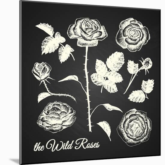 The Wild Roses - Hand Drawn Illustrations - Chalkboard-ONiONAstudio-Mounted Art Print