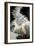 The Wild Swans-Mary Kuper-Framed Giclee Print