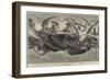 The Wild Swans-null-Framed Giclee Print