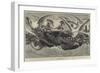 The Wild Swans-null-Framed Giclee Print