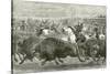 The Wild West at the Great American Exhibition - Hunting Bison and Wapiti Deer-null-Stretched Canvas