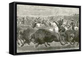 The Wild West at the Great American Exhibition - Hunting Bison and Wapiti Deer-null-Framed Stretched Canvas