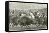 The Wild West at the Great American Exhibition - Hunting Bison and Wapiti Deer-null-Framed Stretched Canvas