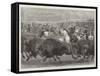 The Wild West at the Great American Exhibition, Hunting Bison and Wapiti Deer-Samuel John Carter-Framed Stretched Canvas