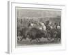 The Wild West at the Great American Exhibition, Hunting Bison and Wapiti Deer-Samuel John Carter-Framed Giclee Print