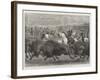 The Wild West at the Great American Exhibition, Hunting Bison and Wapiti Deer-Samuel John Carter-Framed Giclee Print