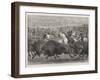 The Wild West at the Great American Exhibition, Hunting Bison and Wapiti Deer-Samuel John Carter-Framed Giclee Print