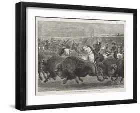 The Wild West at the Great American Exhibition, Hunting Bison and Wapiti Deer-Samuel John Carter-Framed Giclee Print