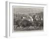 The Wild West at the Great American Exhibition, Hunting Bison and Wapiti Deer-Samuel John Carter-Framed Giclee Print
