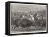 The Wild West at the Great American Exhibition, Hunting Bison and Wapiti Deer-Samuel John Carter-Framed Stretched Canvas