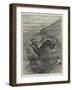 The Wild West of England, Unharbouring a Stag on Exmoor-Samuel John Carter-Framed Giclee Print