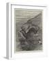 The Wild West of England, Unharbouring a Stag on Exmoor-Samuel John Carter-Framed Giclee Print