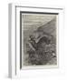 The Wild West of England, Unharbouring a Stag on Exmoor-Samuel John Carter-Framed Giclee Print