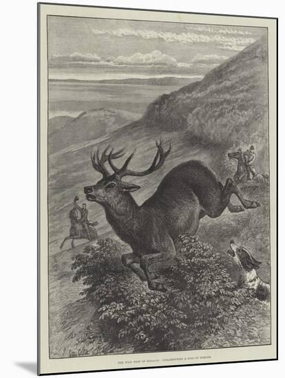 The Wild West of England, Unharbouring a Stag on Exmoor-Samuel John Carter-Mounted Giclee Print