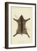 The Wildcat Skin and Crotched Stick on Which the Two Feathered Stems are Placed When at Rest-null-Framed Giclee Print