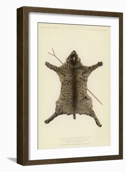 The Wildcat Skin and Crotched Stick on Which the Two Feathered Stems are Placed When at Rest-null-Framed Giclee Print