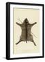 The Wildcat Skin and Crotched Stick on Which the Two Feathered Stems are Placed When at Rest-null-Framed Giclee Print