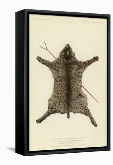 The Wildcat Skin and Crotched Stick on Which the Two Feathered Stems are Placed When at Rest-null-Framed Stretched Canvas