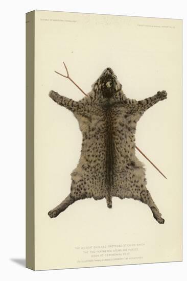 The Wildcat Skin and Crotched Stick on Which the Two Feathered Stems are Placed When at Rest-null-Stretched Canvas