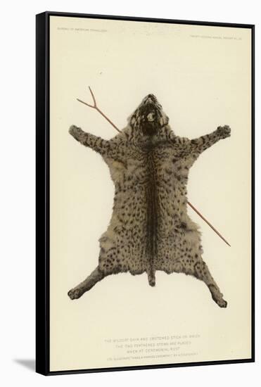 The Wildcat Skin and Crotched Stick on Which the Two Feathered Stems are Placed When at Rest-null-Framed Stretched Canvas