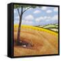 The Wildflowers-Chris Ross Williamson-Framed Stretched Canvas