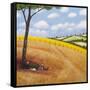 The Wildflowers-Chris Ross Williamson-Framed Stretched Canvas