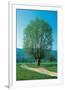 The Willow At The Fork-null-Framed Art Print